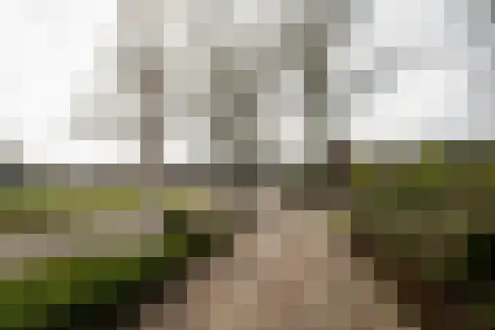 Veldkamp 2 Overdinkel thumbnail 27