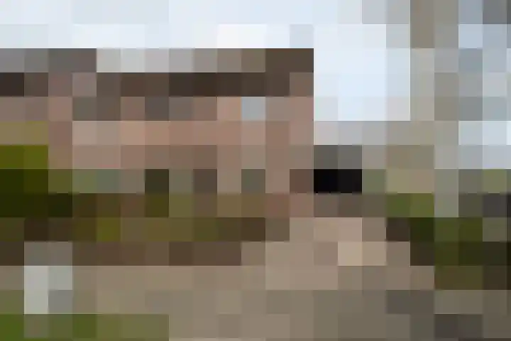 Veldkamp 2 Overdinkel thumbnail 4