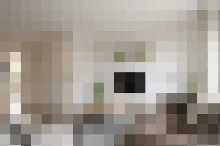Veldkamp 2 Overdinkel thumbnail 9