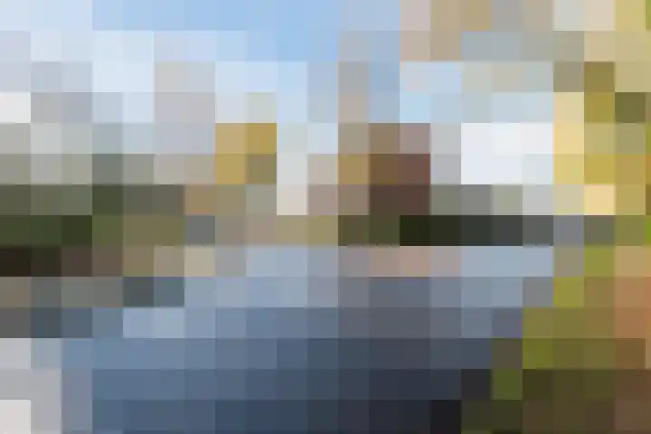 Veldkamp 44 Harderwijk thumbnail 40