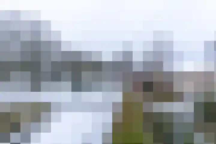 Veldkamp 72 Harderwijk thumbnail 20