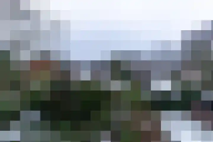 Veldkamp 72 Harderwijk thumbnail 23