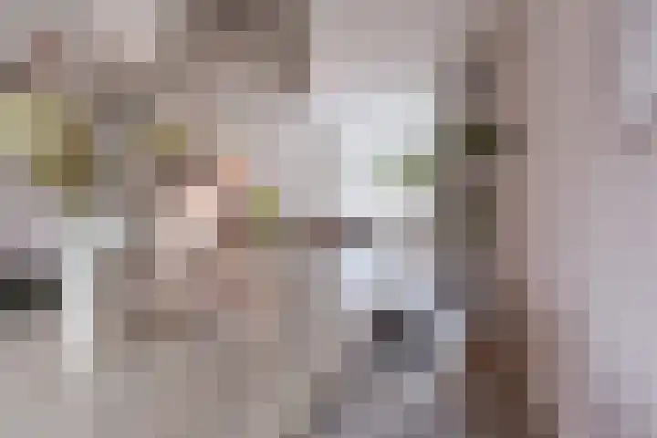 Veldkamp 72 Harderwijk thumbnail 9
