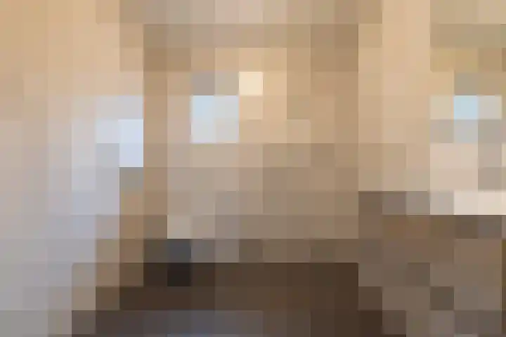 Veldkamperstraat 42 Westendorp thumbnail 6