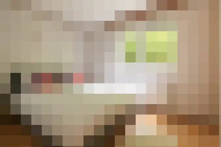 Veldkampweg 2 150 Epe thumbnail 16