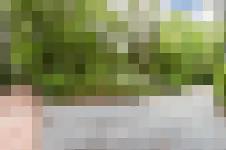 Veldkampweg 2 150 Epe thumbnail 21