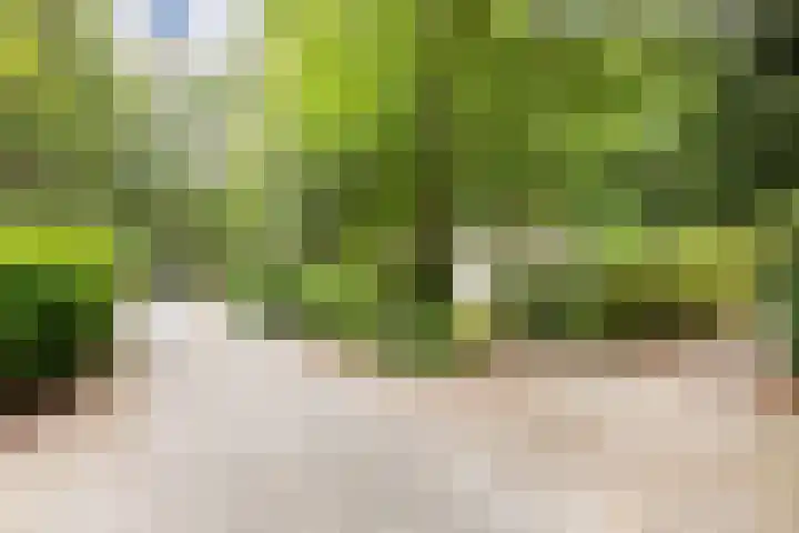 Veldkampweg 2 150 Epe thumbnail 22