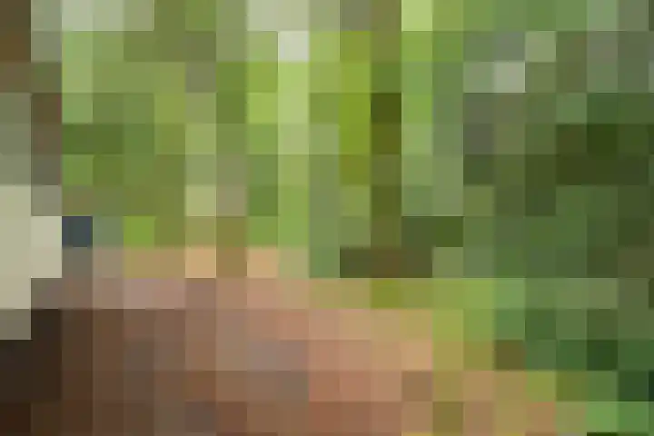 Veldkampweg 2 150 Epe thumbnail 4