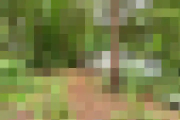 Veldkampweg 2 150 Epe thumbnail 5