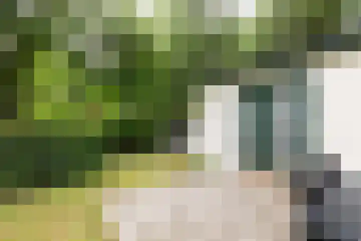 Veldkampweg 2 150 Epe thumbnail 7