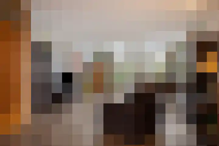 Veldkant 6 Beuningen Gld thumbnail 11