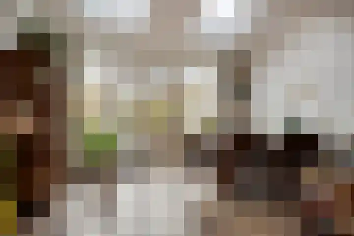 Veldkant 6 Beuningen Gld thumbnail 13