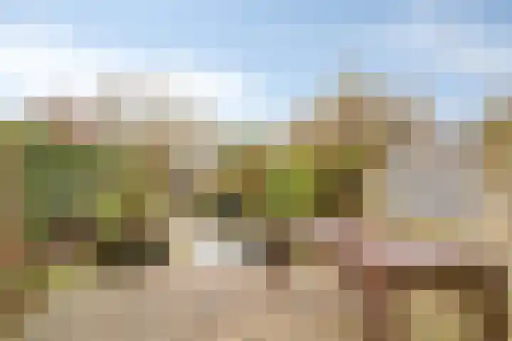 Veldkant 6 Beuningen Gld thumbnail 34