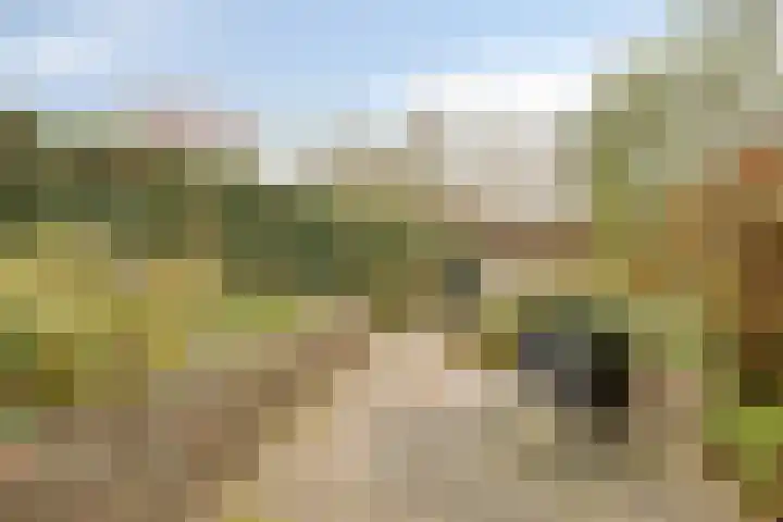 Veldkant 6 Beuningen Gld thumbnail 35