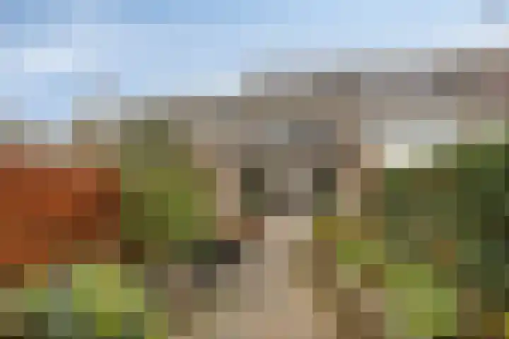 Veldkant 6 Beuningen Gld thumbnail 5