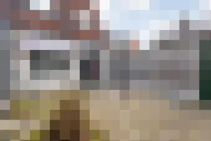 Veldkers 126 Oldenzaal thumbnail 15