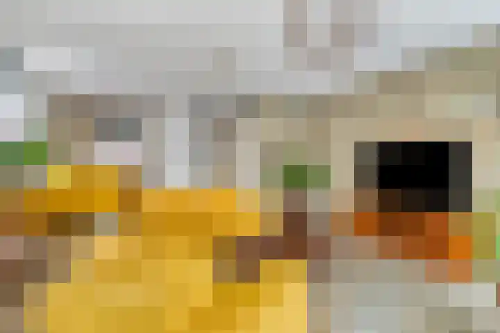 Veldkerserf 50 Pijnacker thumbnail 10