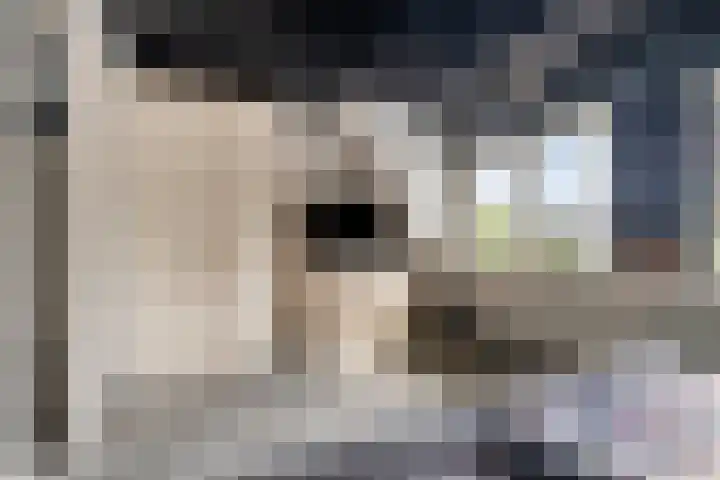 Veldkerserf 50 Pijnacker thumbnail 17