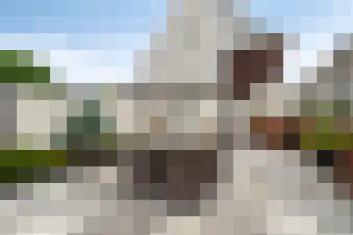 Veldkerserf 50 Pijnacker thumbnail 24