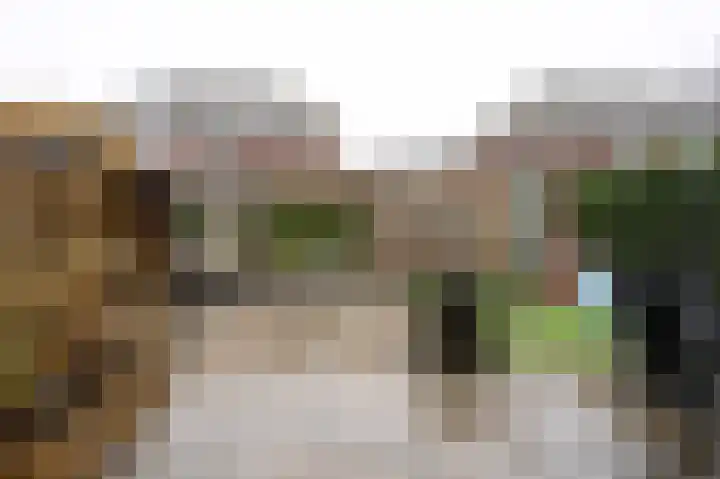 Veldkrekel 3 Eerbeek thumbnail 25