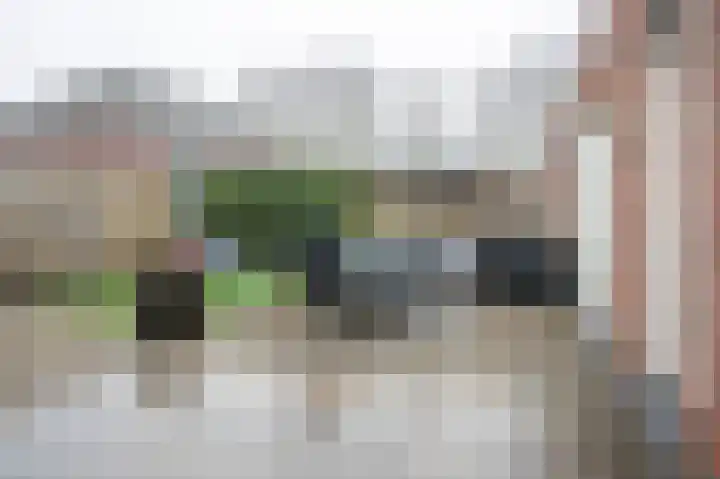 Veldkrekel 3 Eerbeek thumbnail 28
