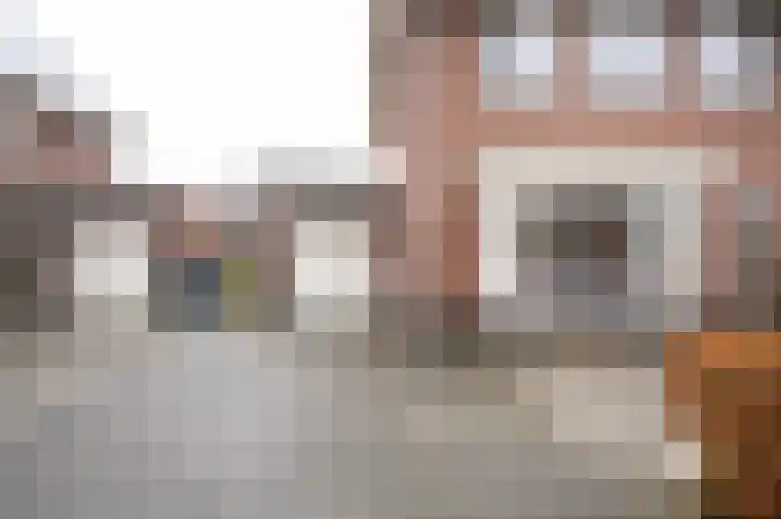 Veldkrekel 3 Eerbeek thumbnail 32