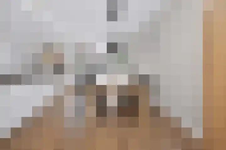 Veldkrekel 3 Eerbeek thumbnail 6