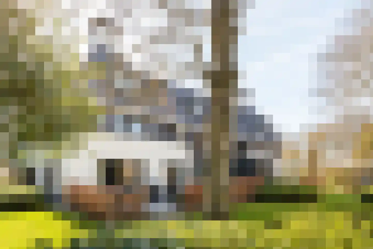 Veldlaan 1 C in Groenekan