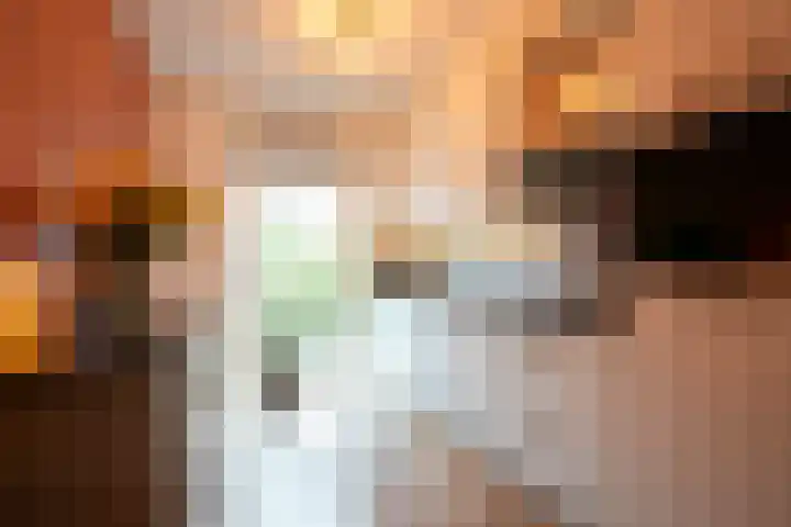 Veldleeuwerik 39 Eijsden thumbnail 10