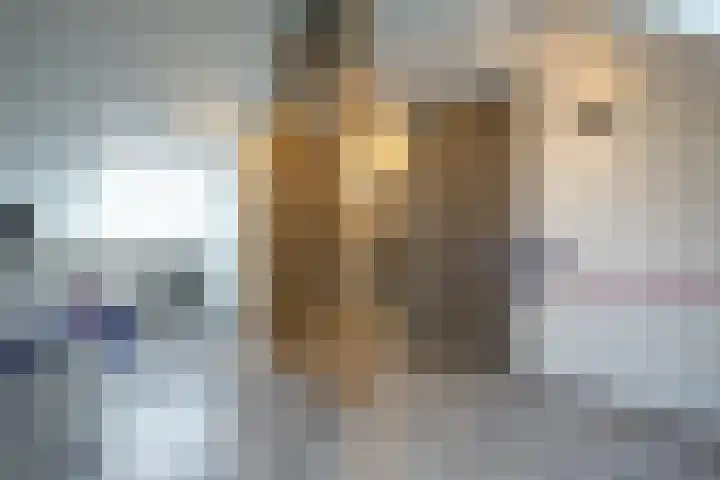 Veldleeuwerik 39 Eijsden thumbnail 24