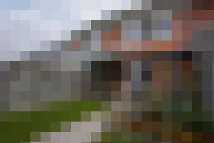 Veldleeuwerik 39 Eijsden thumbnail 32