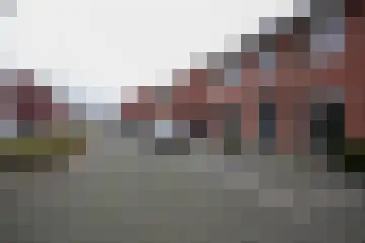 Veldleeuwerik 39 Eijsden thumbnail 34