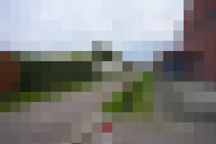 Veldleeuwerik 39 Eijsden thumbnail 35