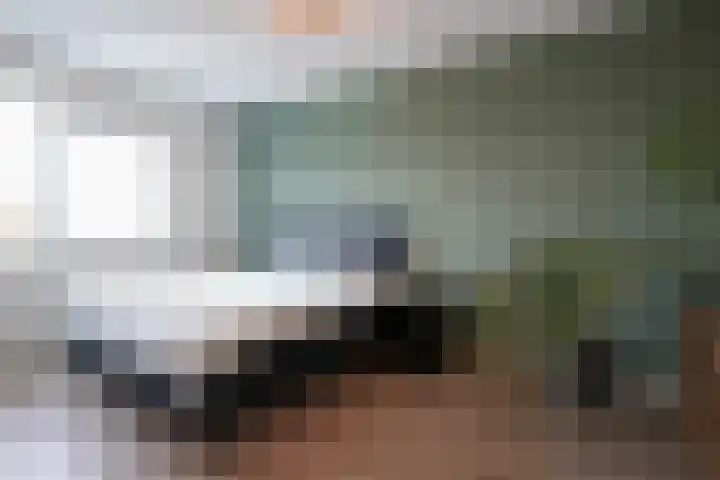 Veldleeuwerik 39 Eijsden thumbnail 4