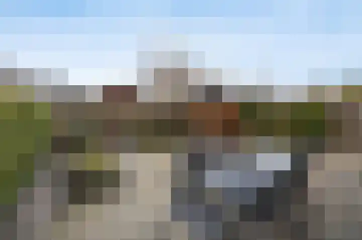 Veldloop 8 Etten-Leur thumbnail 31