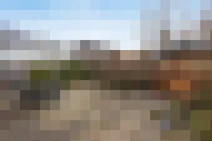 Veldloop 8 Etten-Leur thumbnail 34