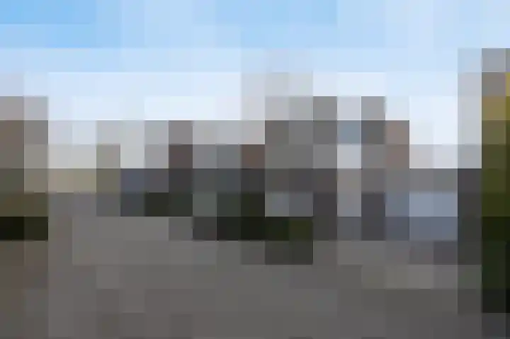 Veldloop 8 Etten-Leur thumbnail 35