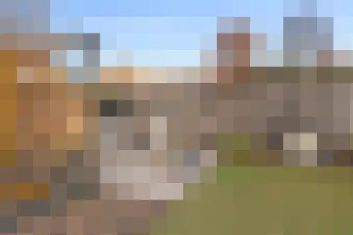 Veldlust 38 Amstelveen thumbnail 11