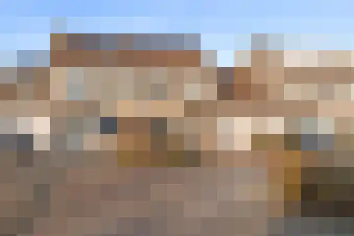 Veldlust 38 Amstelveen thumbnail 31