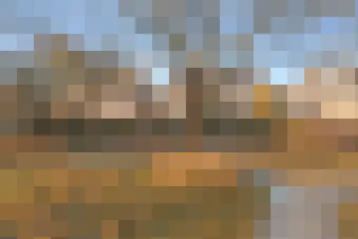 Veldlust 38 Amstelveen thumbnail 32