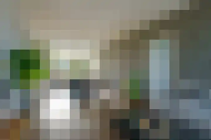 Veldmaarschalk Montgomerylaan 272 Eindhoven thumbnail 33