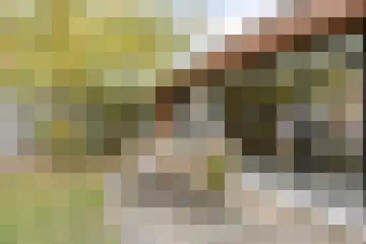 Veldmaarschalk Montgomerylaan 272 Eindhoven thumbnail 35