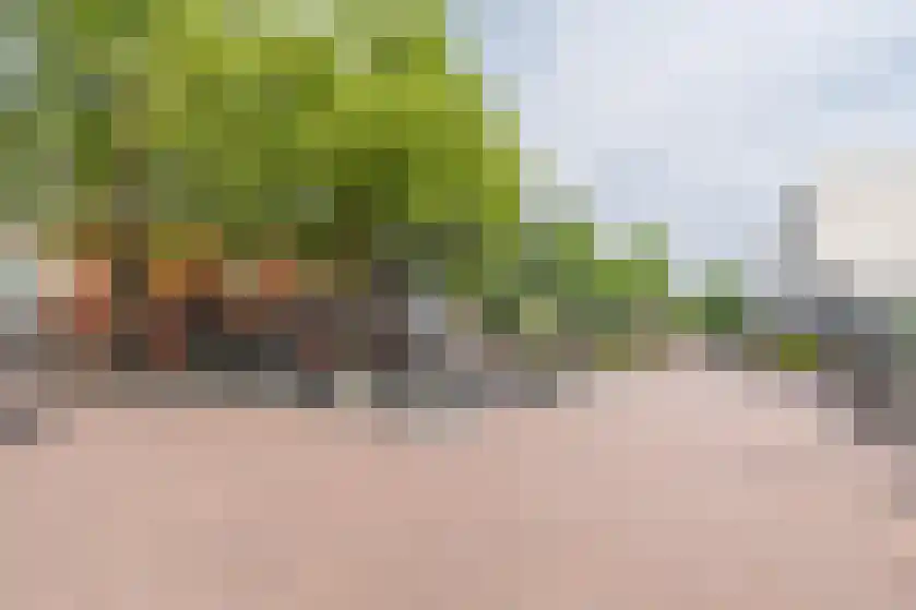 Veldmaarschalk Montgomerylaan 272 Eindhoven thumbnail 4