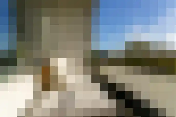 Veldmaarschalk Montgomerylaan 272 Eindhoven thumbnail 4