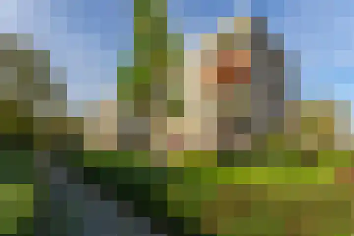 Veldmaarschalk Montgomerylaan 272 Eindhoven thumbnail 8