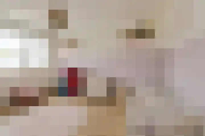 Veldmoeren 39 Breda thumbnail 22