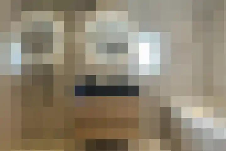 Veldmoeren 39 Breda thumbnail 25