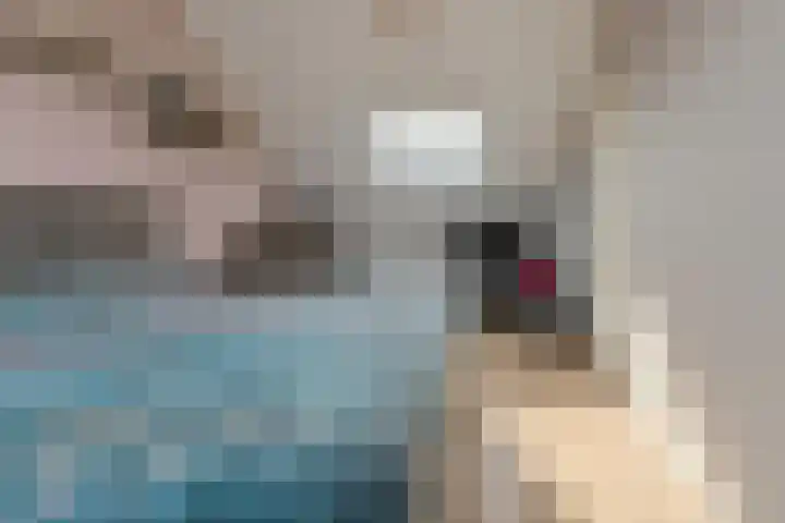 Veldmoeren 39 Breda thumbnail 36