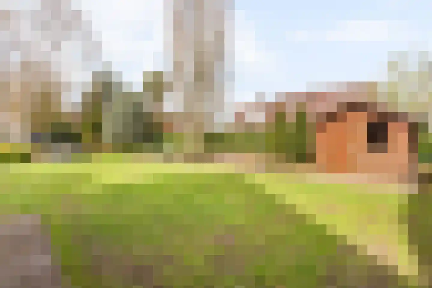 Veldmolen 16 Delden thumbnail 20
