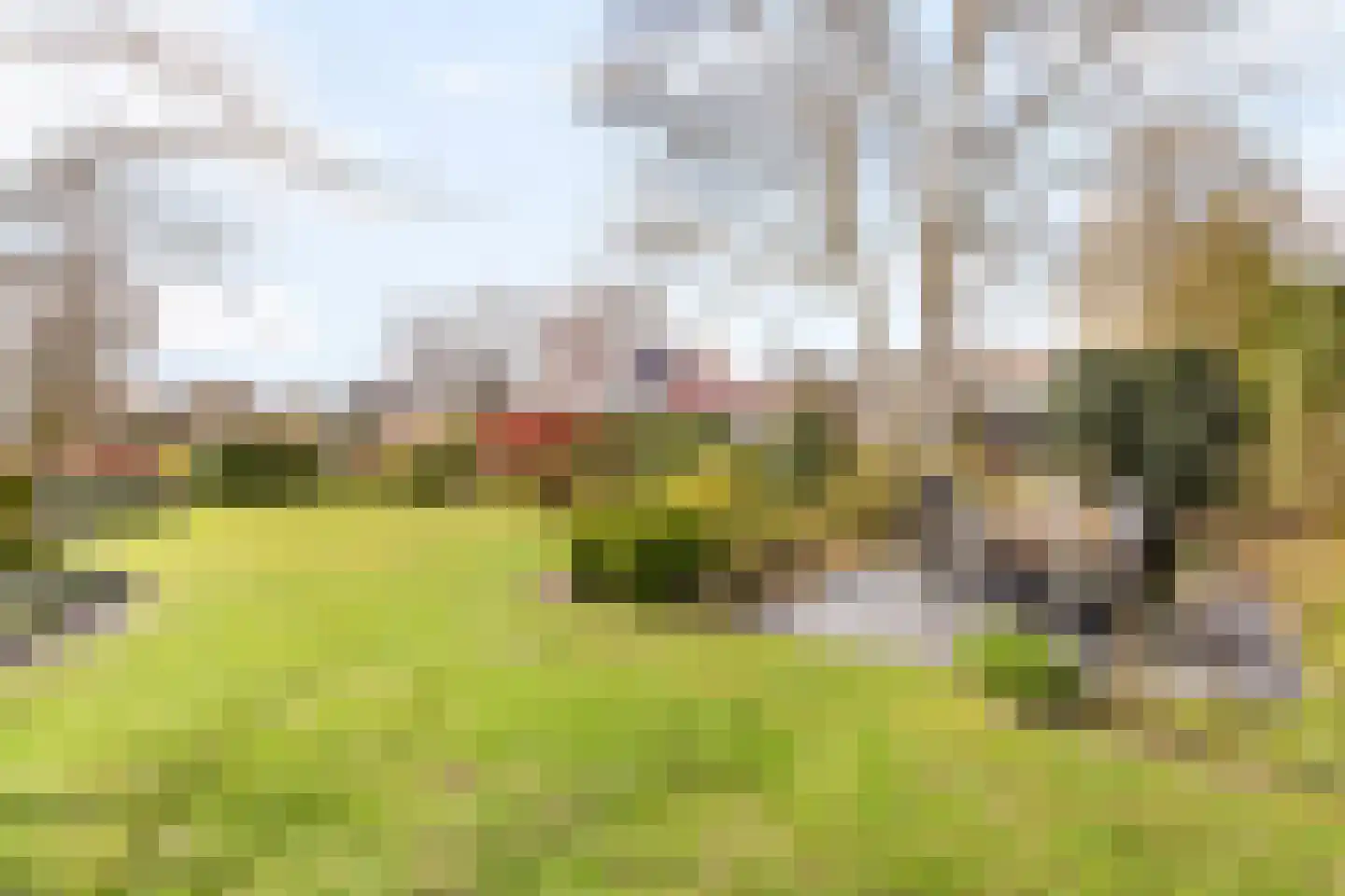 Veldmolen 16 Delden thumbnail 21